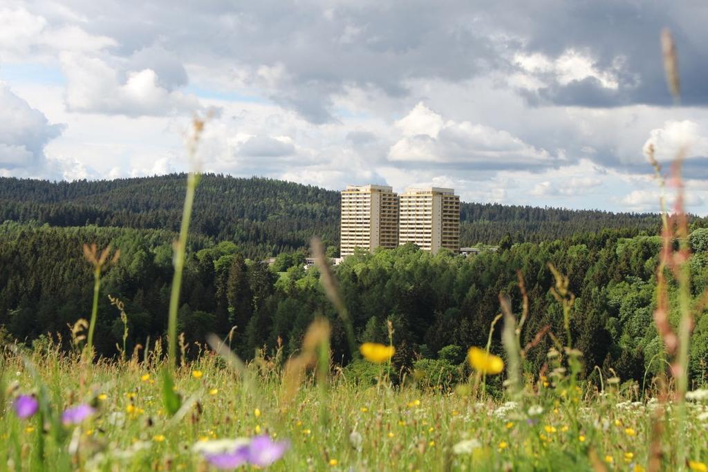 Apartments Pano-Hohegeiß Zewnętrze zdjęcie